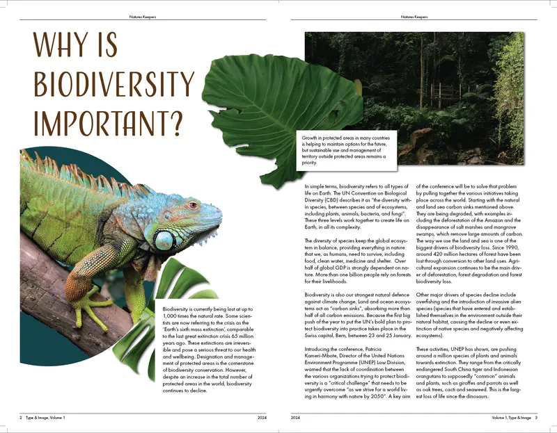 Iguana and Plants, Why Biodiversity Important?